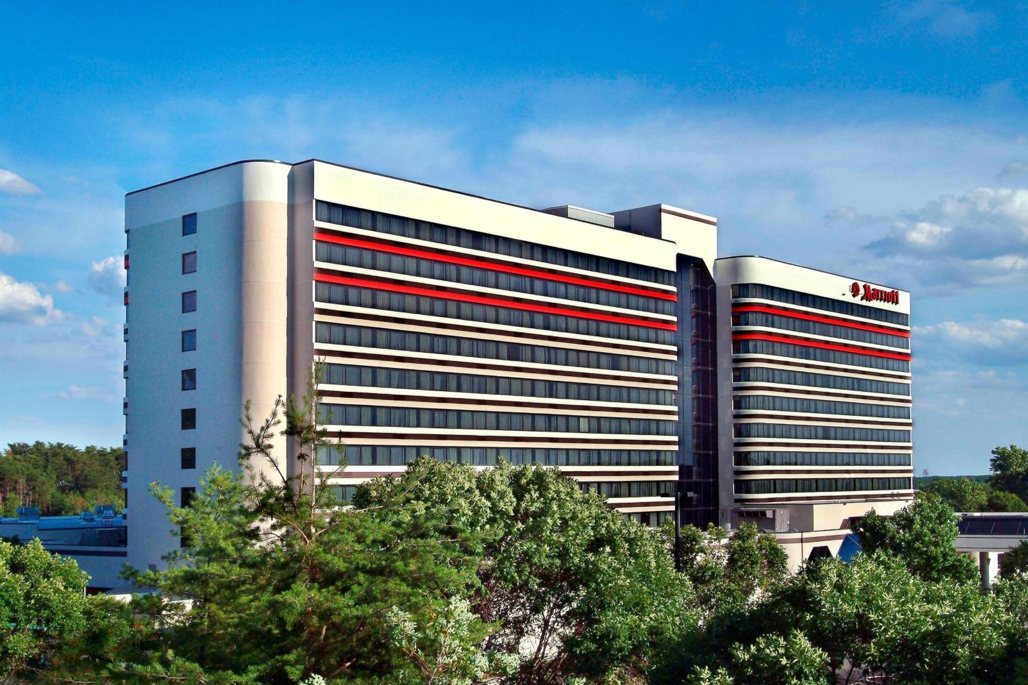 BWI Airport Marriott Hotel Linthicum Eksteriør billede